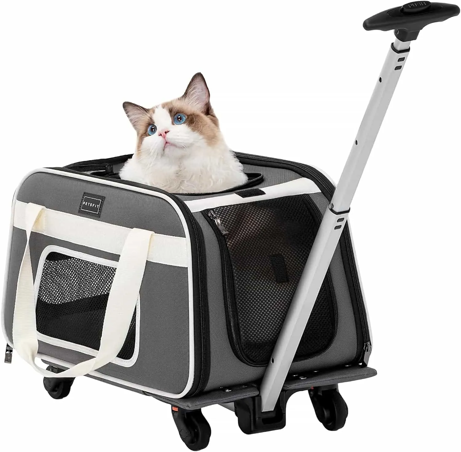 PETSFIT Airline Pet Carrier With Wheels