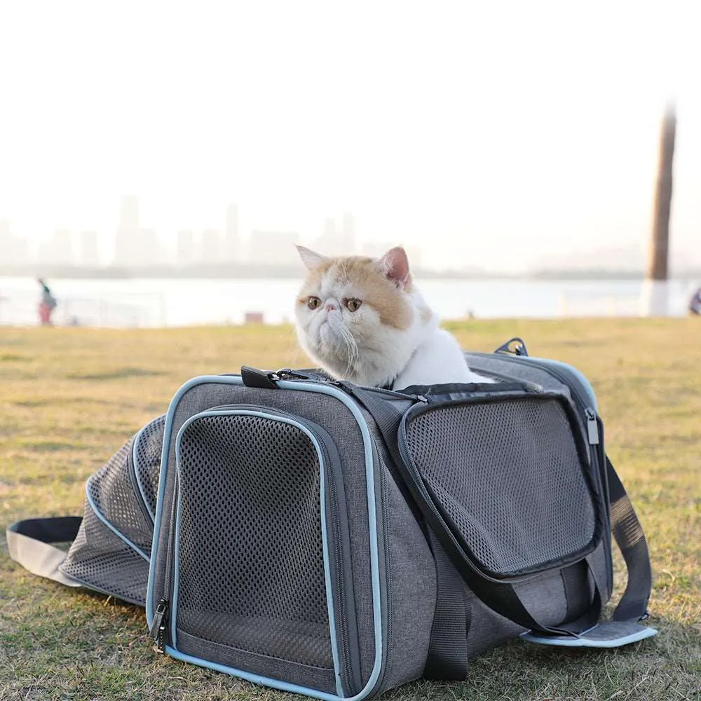 PETSFIT Cat Carrier Dog Carrier Expandable