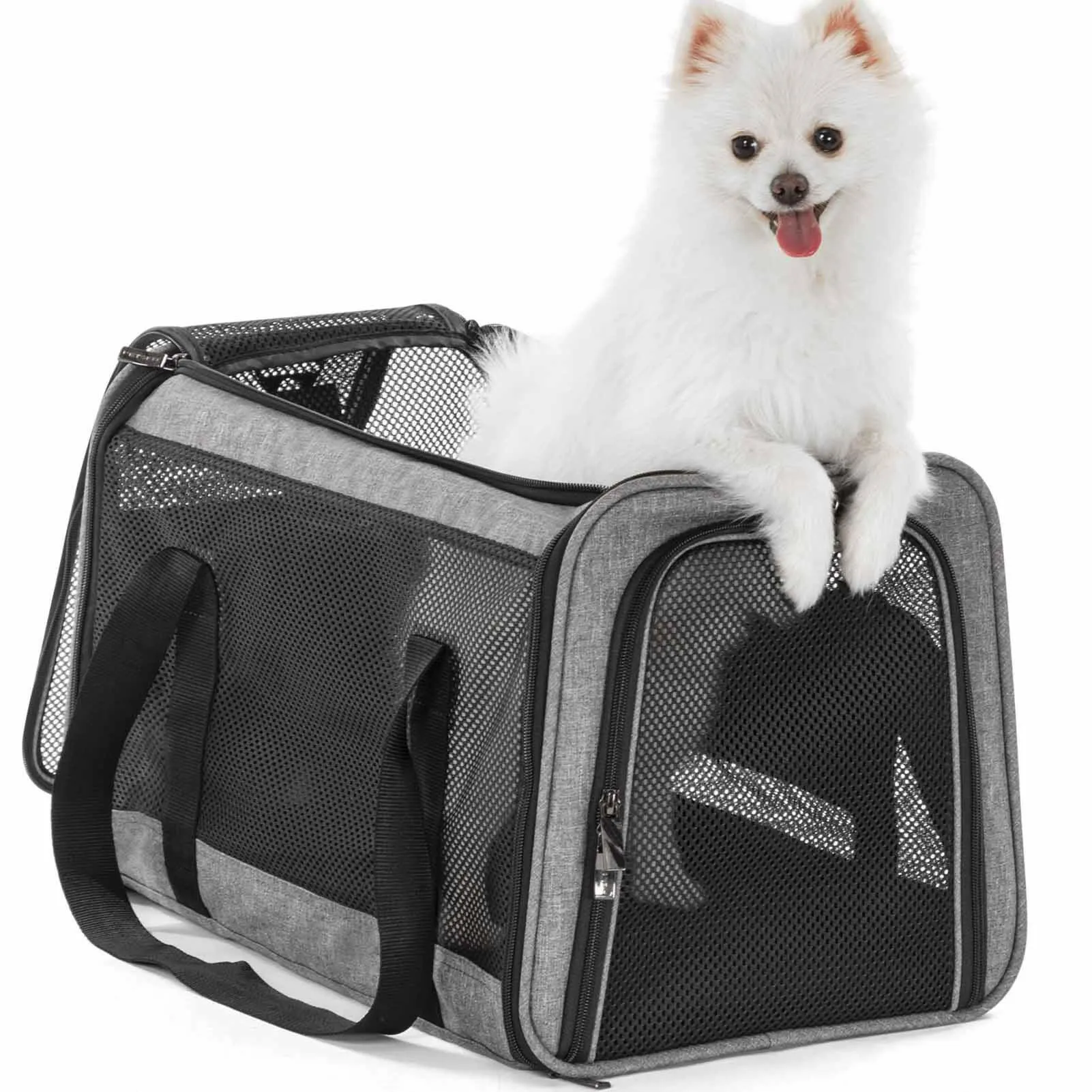 PETSFIT Large Capacity Lightweight Washable Soft-Sided Pet Travel Carrier