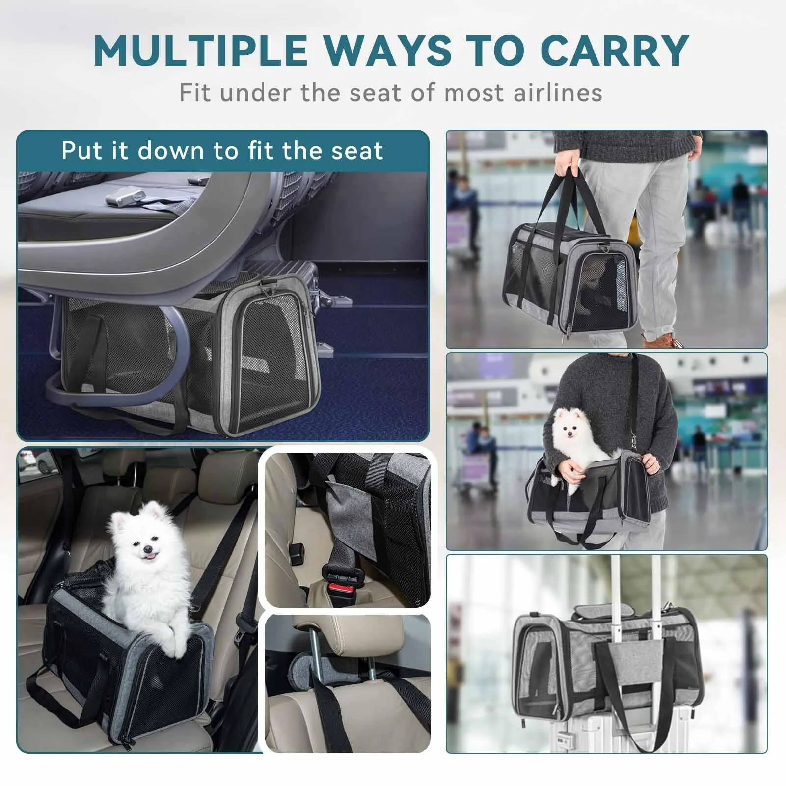 PETSFIT Large Capacity Lightweight Washable Soft-Sided Pet Travel Carrier