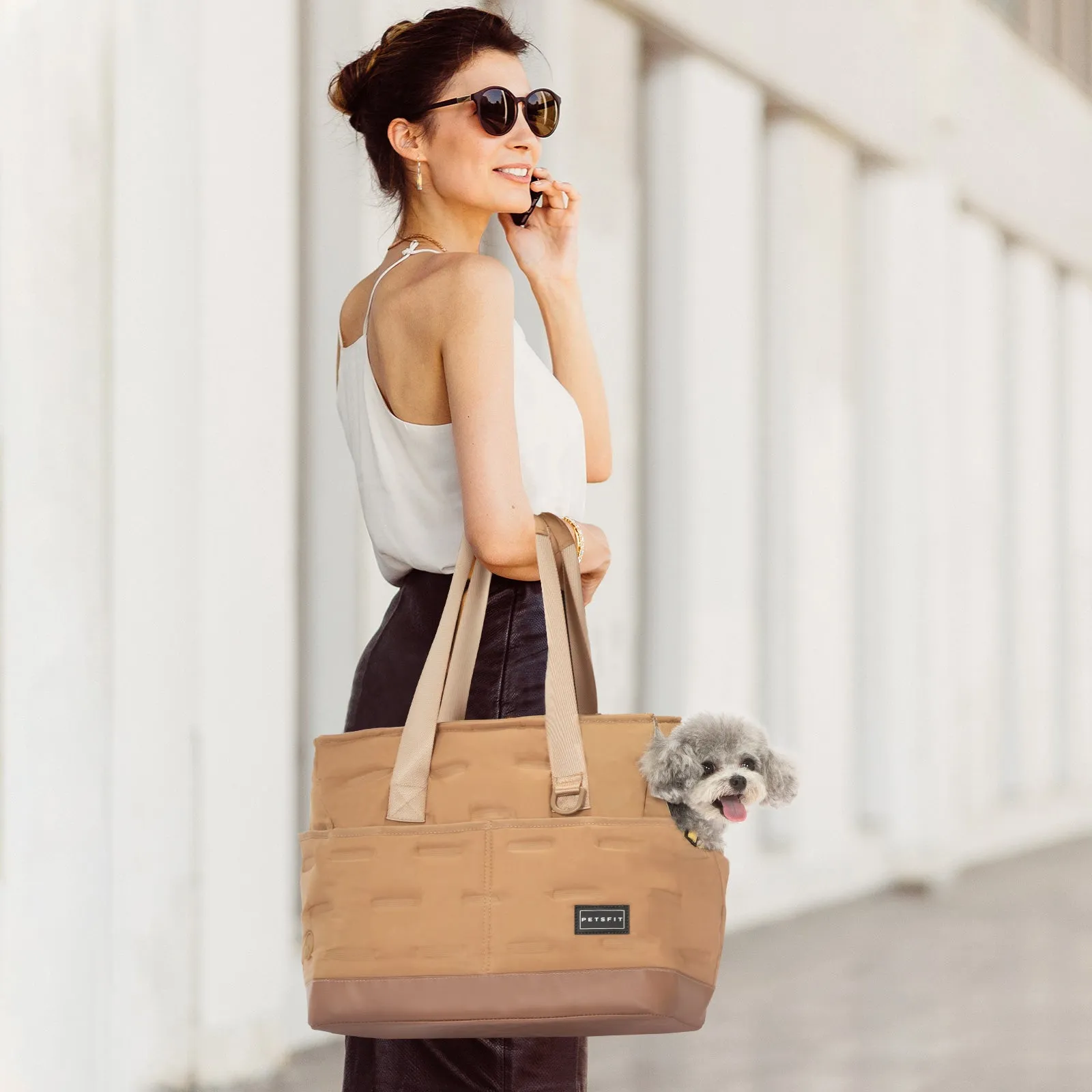 PETSFIT Small Dog Purse Carrier Tote with Adjustable Safety Leashs