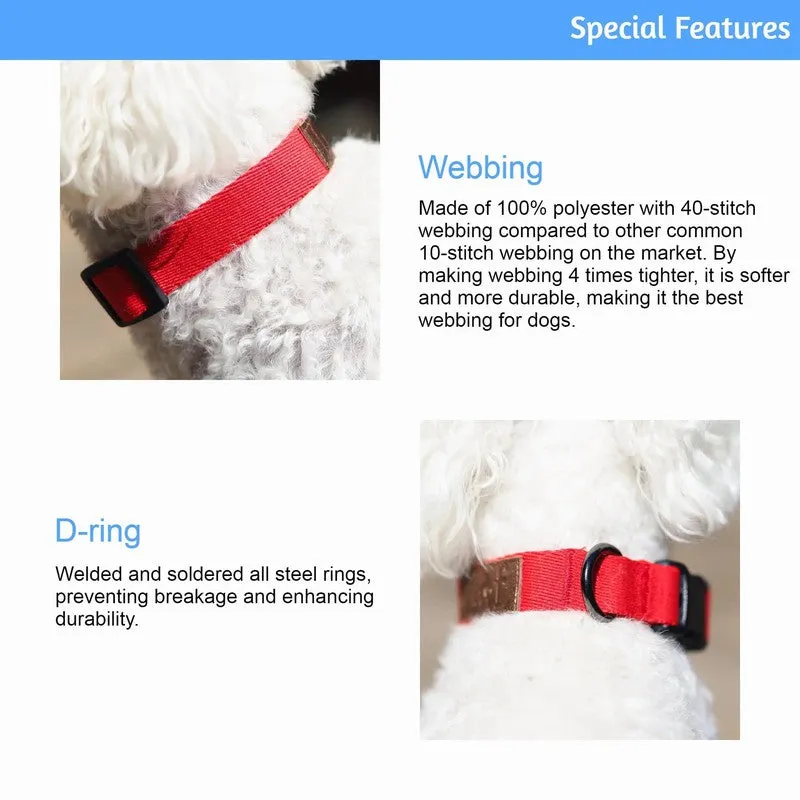 Premium Lof Collar for Ultimate Comfort and Durability