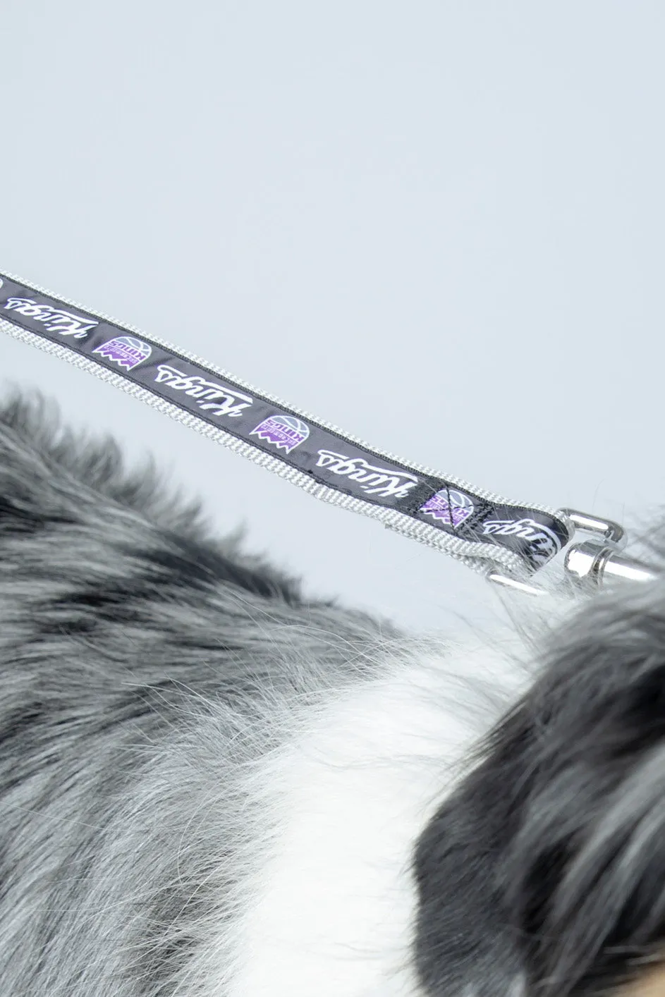Printed Satin Ribbon Pet Leash