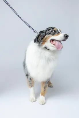 Printed Satin Ribbon Pet Leash