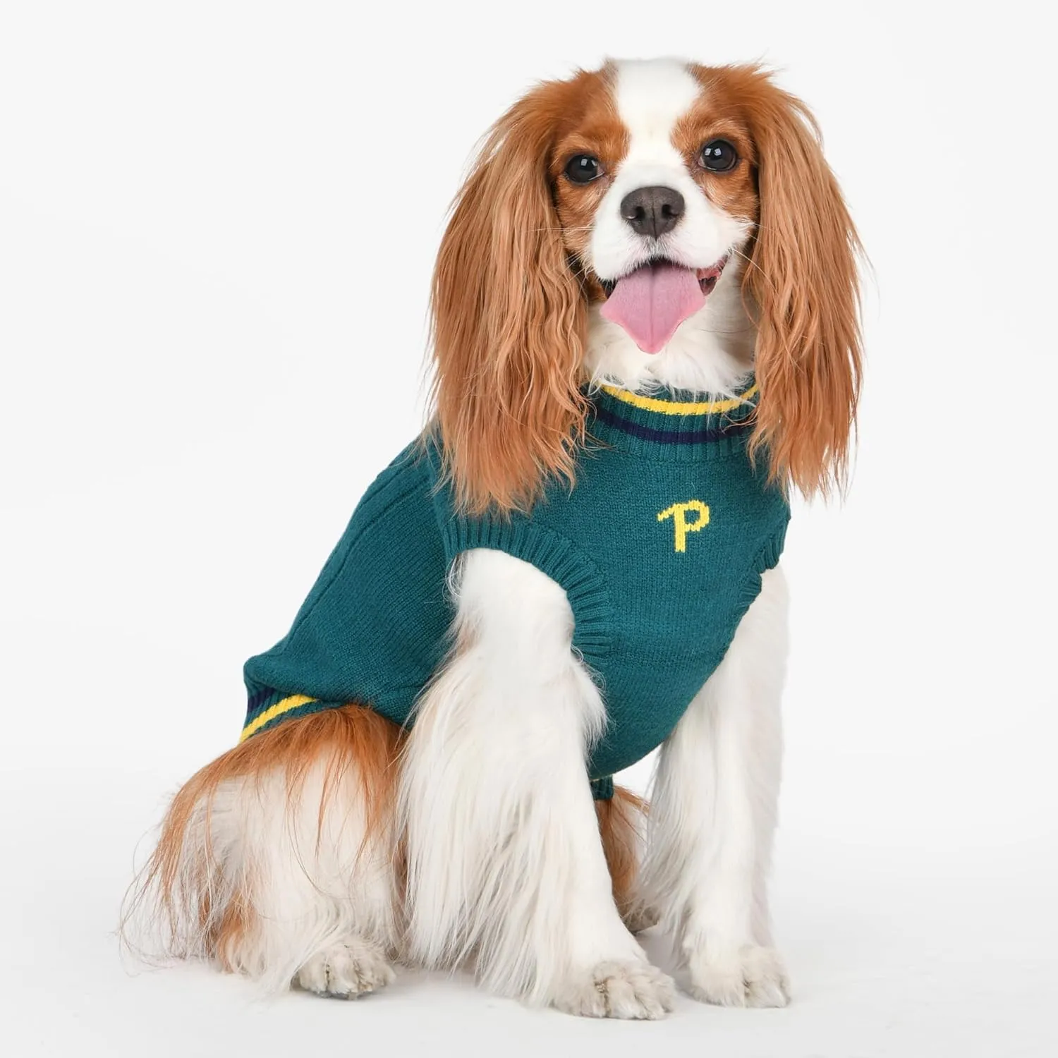Puppia JOISE Dog Knit Sweater Winter Season for Small and Medium Dogs, Green, Medium