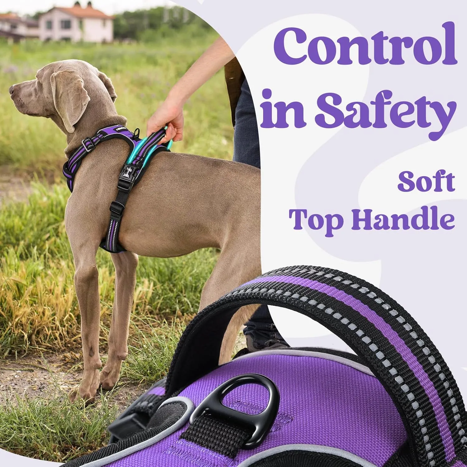 rabbitgoo Dog Harness Small Sized, No Pull Pet Harness with 3 Buckles, Adjustable Soft Padded Pooch Vest with Instant Control Handle, Easy Walking Reflective Pet Vest for Small Dogs, Purple, S