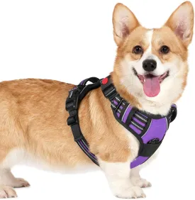 rabbitgoo Dog Harness Small Sized, No Pull Pet Harness with 3 Buckles, Adjustable Soft Padded Pooch Vest with Instant Control Handle, Easy Walking Reflective Pet Vest for Small Dogs, Purple, S