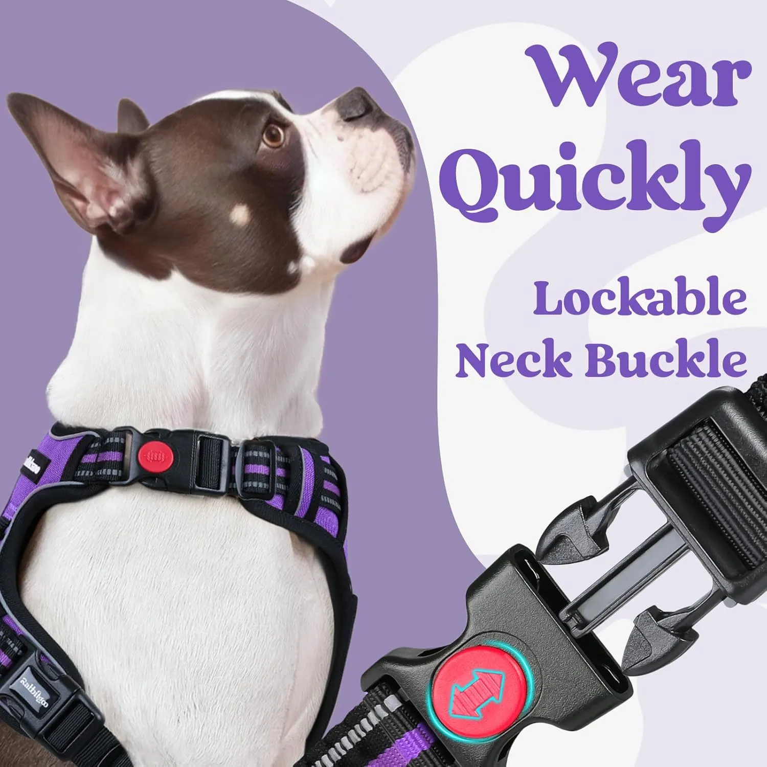 rabbitgoo Dog Harness Small Sized, No Pull Pet Harness with 3 Buckles, Adjustable Soft Padded Pooch Vest with Instant Control Handle, Easy Walking Reflective Pet Vest for Small Dogs, Purple, S