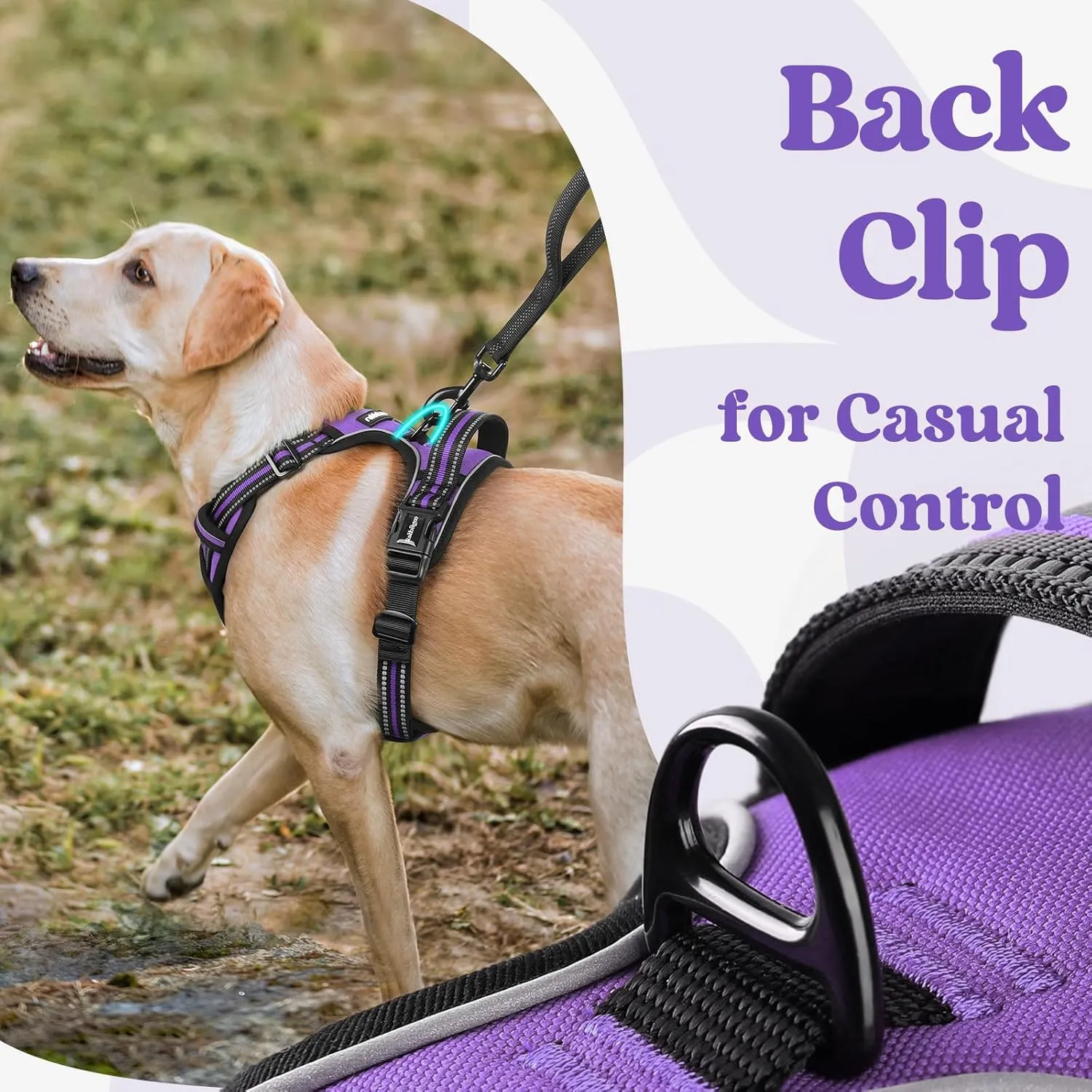 rabbitgoo Dog Harness Small Sized, No Pull Pet Harness with 3 Buckles, Adjustable Soft Padded Pooch Vest with Instant Control Handle, Easy Walking Reflective Pet Vest for Small Dogs, Purple, S