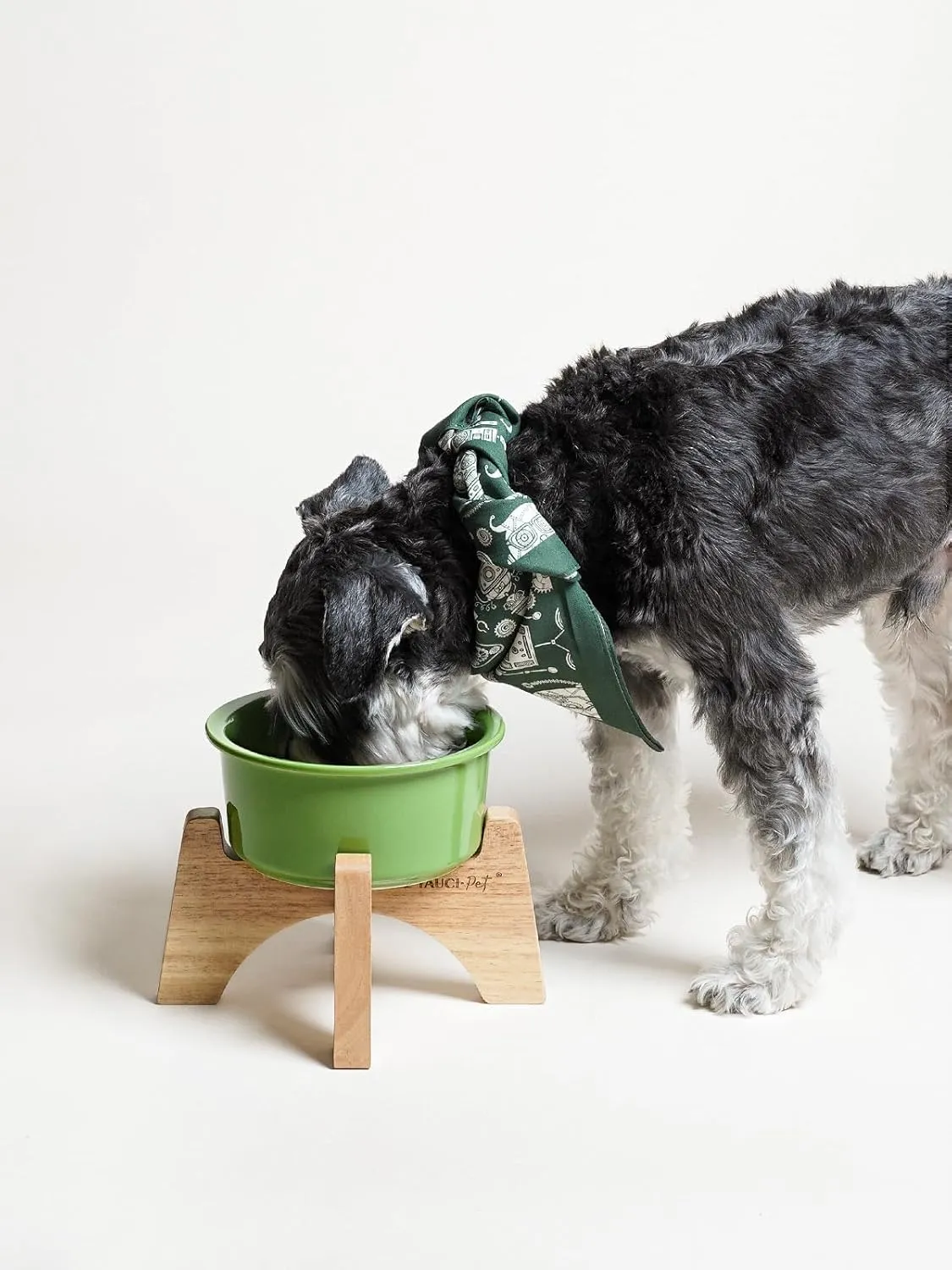 Raised Ceramic Dog Bowl with Wooden Stand, 6.5 Inch Elevated Feeder for Small & Medium Breeds, Green, Set of 1