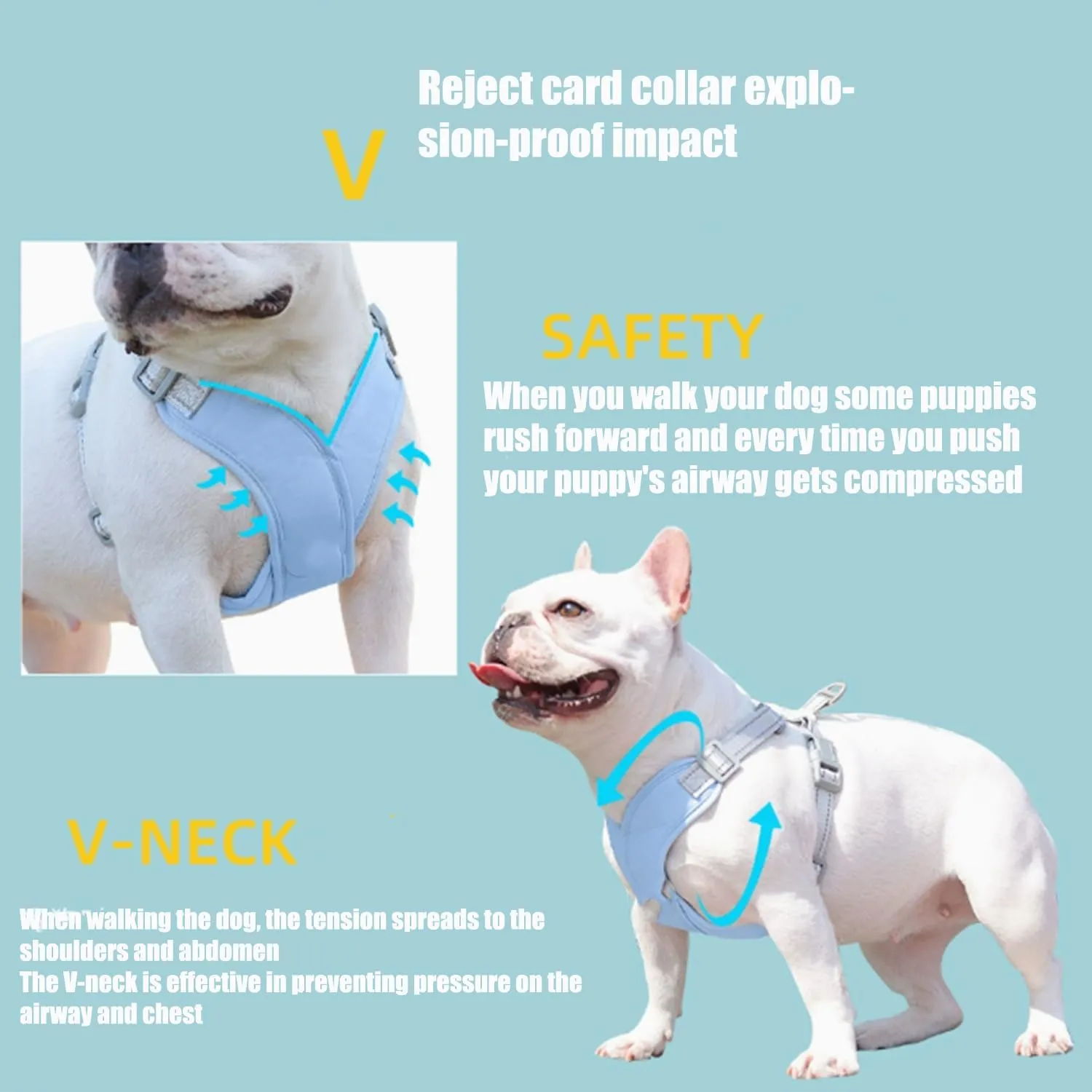 Small Cozy Harness for 8.8-33.6Lb,Medium Small Cozy Harness, Breathable&Comfortable | Anti-Breakaway | Reflective at Night (Blue,L (19.8-33.6))