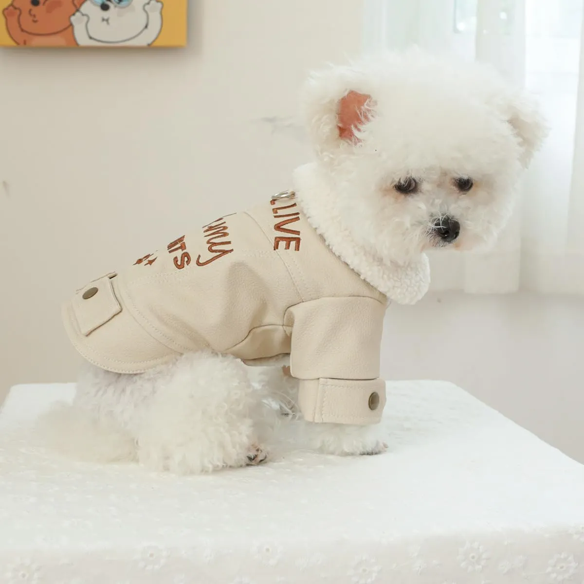 Small Dog Winter Denim Jacket Fleece Lined Puppy Cute Jean Clothes Cold Weather Dog Cozy Warm Coats Chihuahua Yorkie Stylish Clothes Christmas Holiday Birthday Dog Outfits