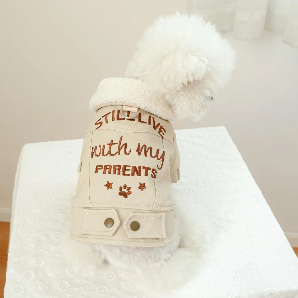 Small Dog Winter Denim Jacket Fleece Lined Puppy Cute Jean Clothes Cold Weather Dog Cozy Warm Coats Chihuahua Yorkie Stylish Clothes Christmas Holiday Birthday Dog Outfits