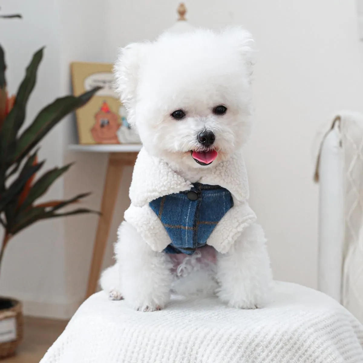 Small Dog Winter Denim Jacket Fleece Lined Puppy Cute Jean Clothes Cold Weather Dog Cozy Warm Coats Chihuahua Yorkie Stylish Clothes Christmas Holiday Birthday Dog Outfits