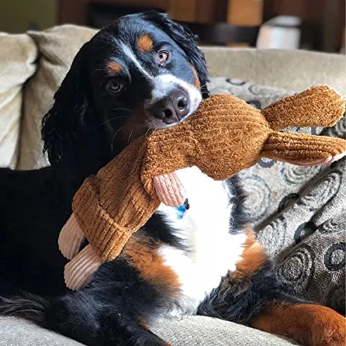 Snuggle Puppy Tender-Tuffs No Squeaker Rabbit & Water Bottle Dog Toy