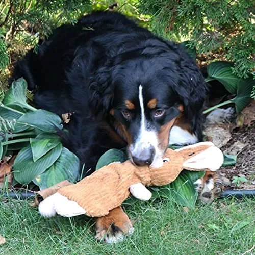 Snuggle Puppy Tender-Tuffs No Squeaker Rabbit & Water Bottle Dog Toy