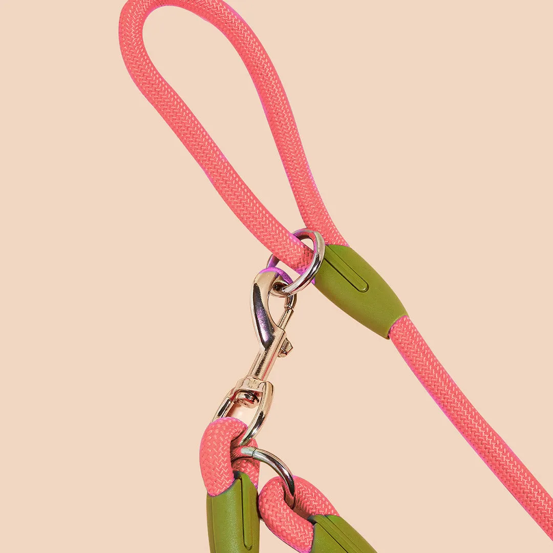 SOGA 220cm Multifunction Hands Free Rope Pet Cat Dog Puppy Double Ended Leash for Walking Training Tracking Obedience Pink