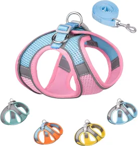 Solmoony Soft Mesh Dog Harness and Leash Set for Small Medium Dogs, Step in Adjustable with Padded Vest (S, Pink)