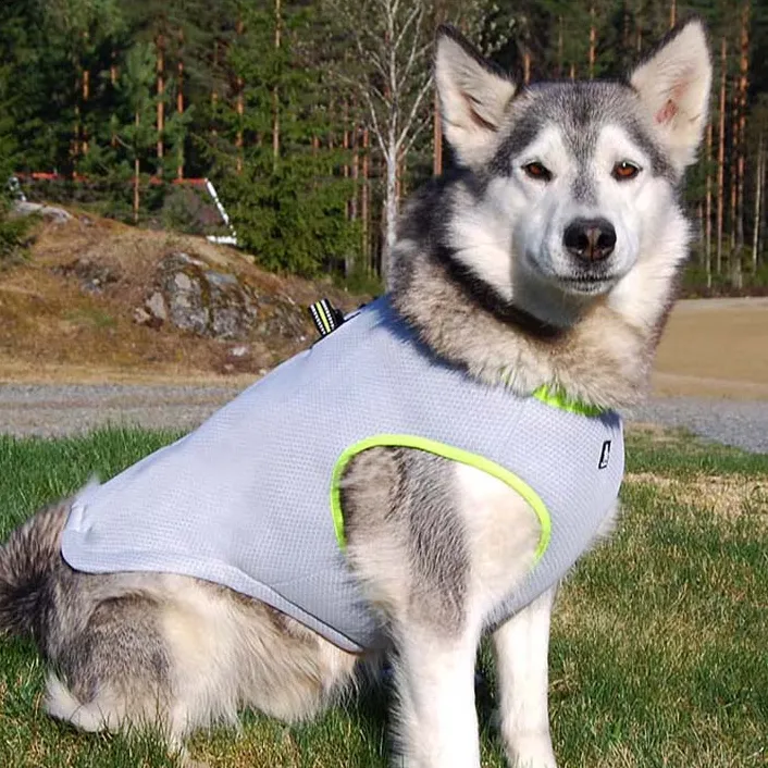Summer Dog Cooling Vest