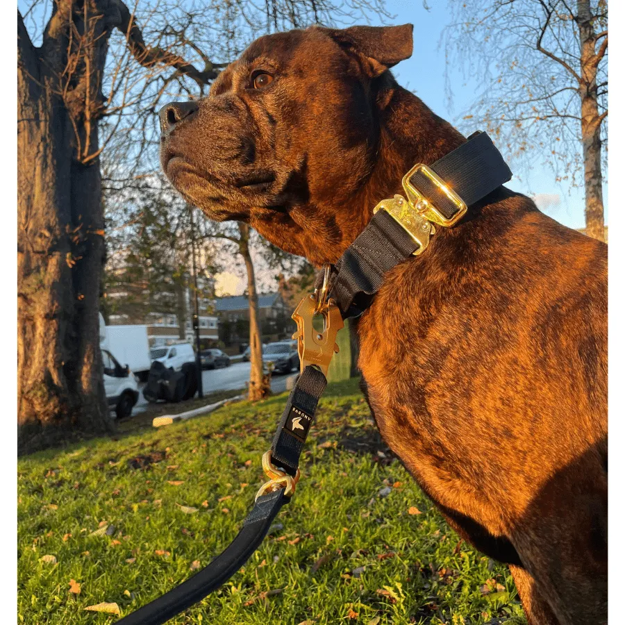Tactical Leash | Military Grade | Navy