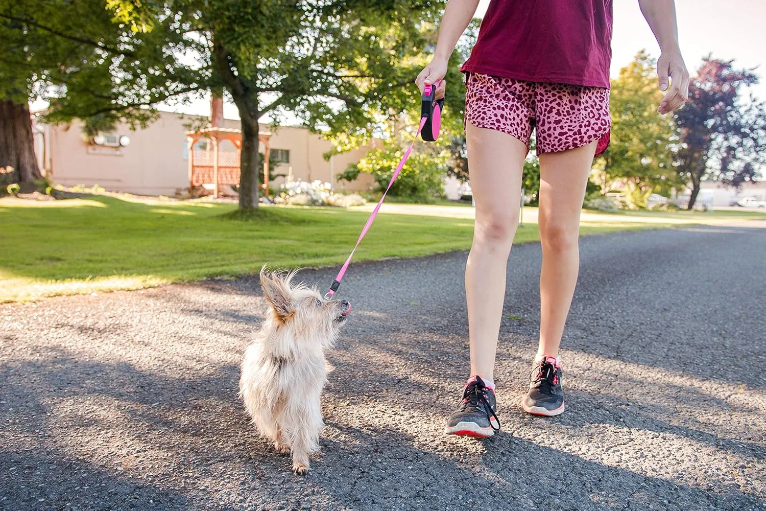 Wigzi 748014 Pink Large Retractable Gel Leash, NA