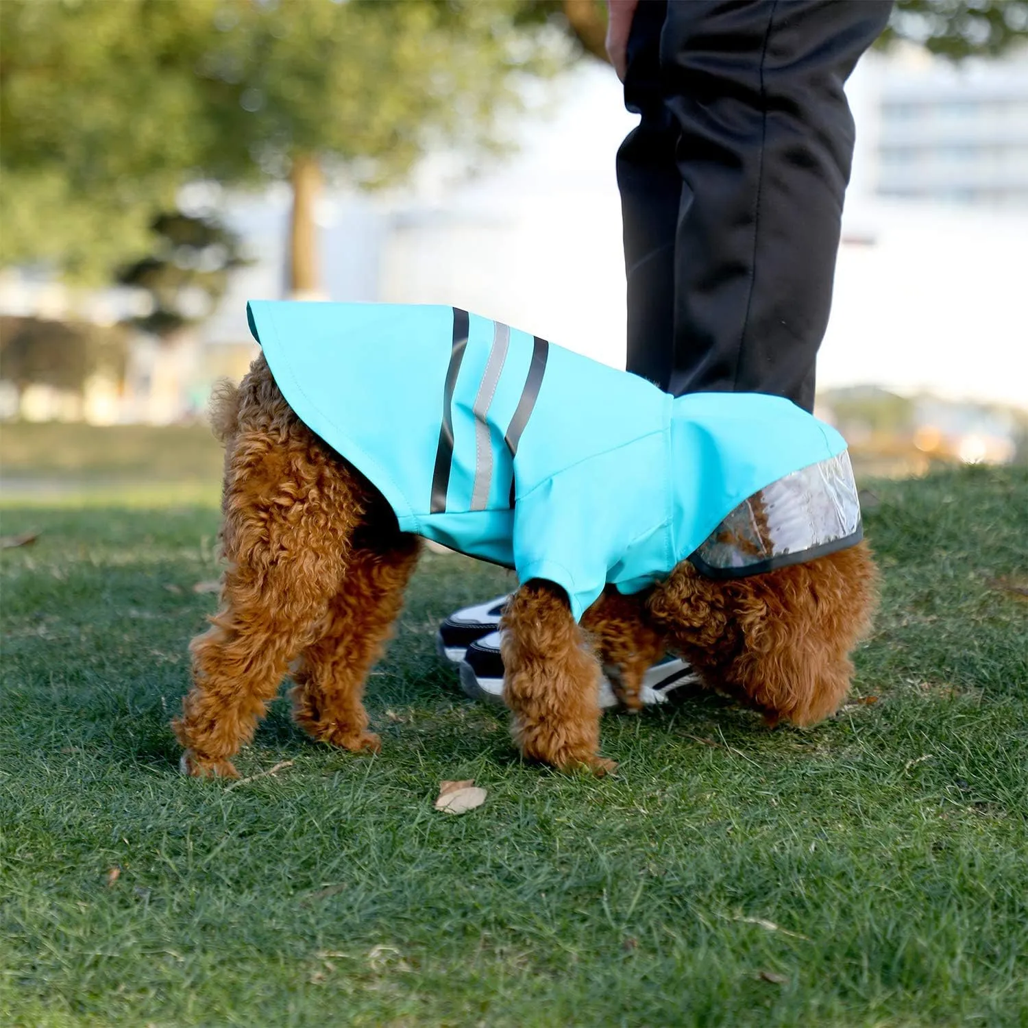 Wizland Reflective Dog Raincoat Dog Rain Jacket with Hood Lightweight Waterproof Rain Coat for Puppies (Blue M)